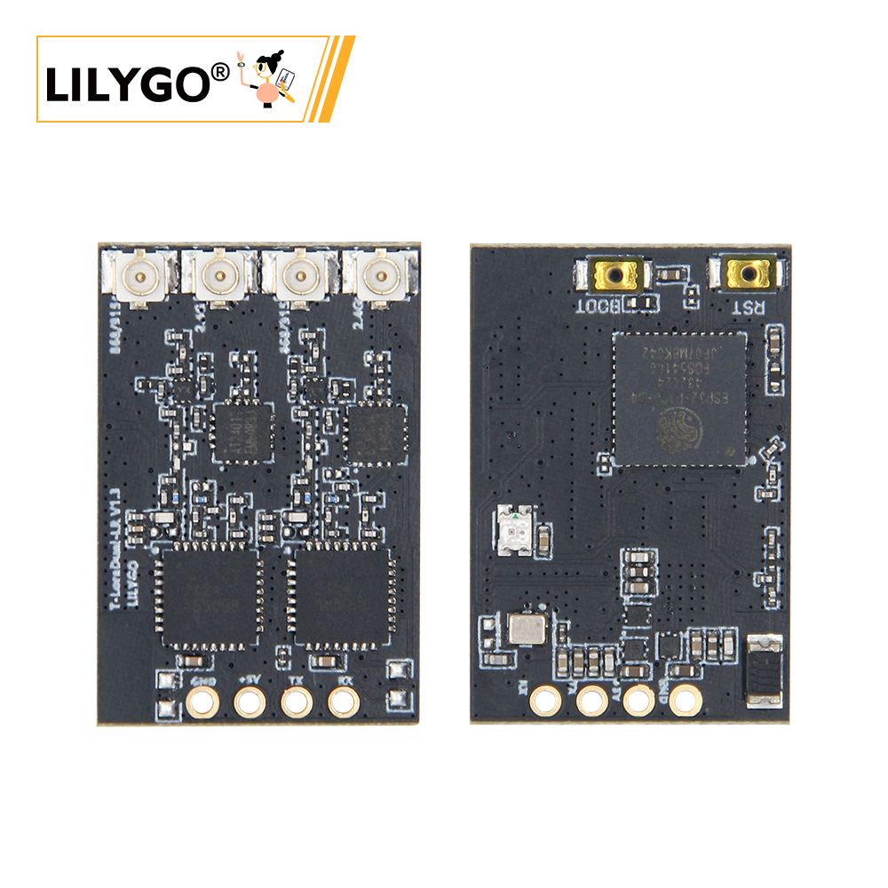 T-LoRa Dual