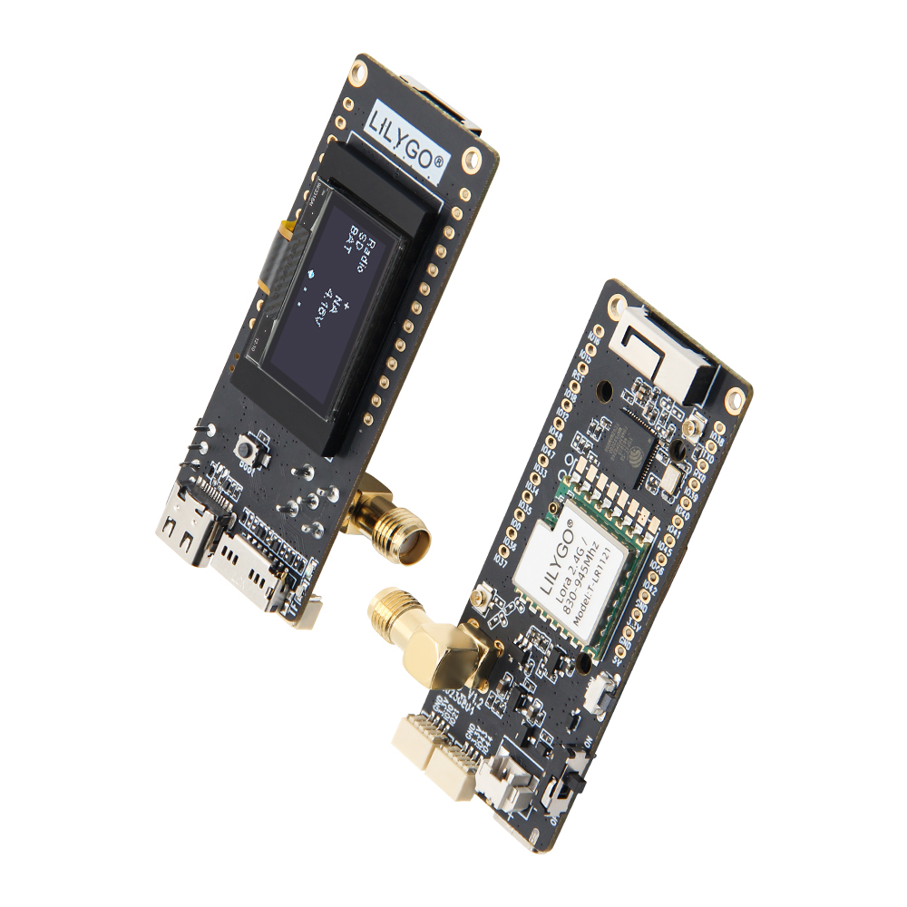 T3-S3 LR1121 physical image